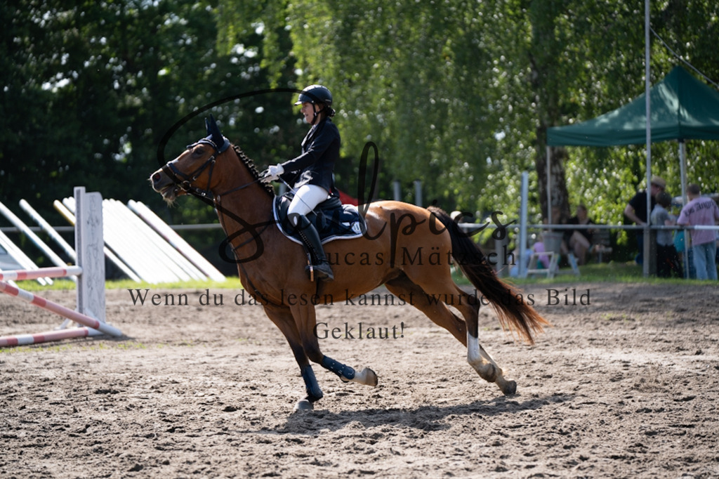 A7V03623 | Pferdefotograf