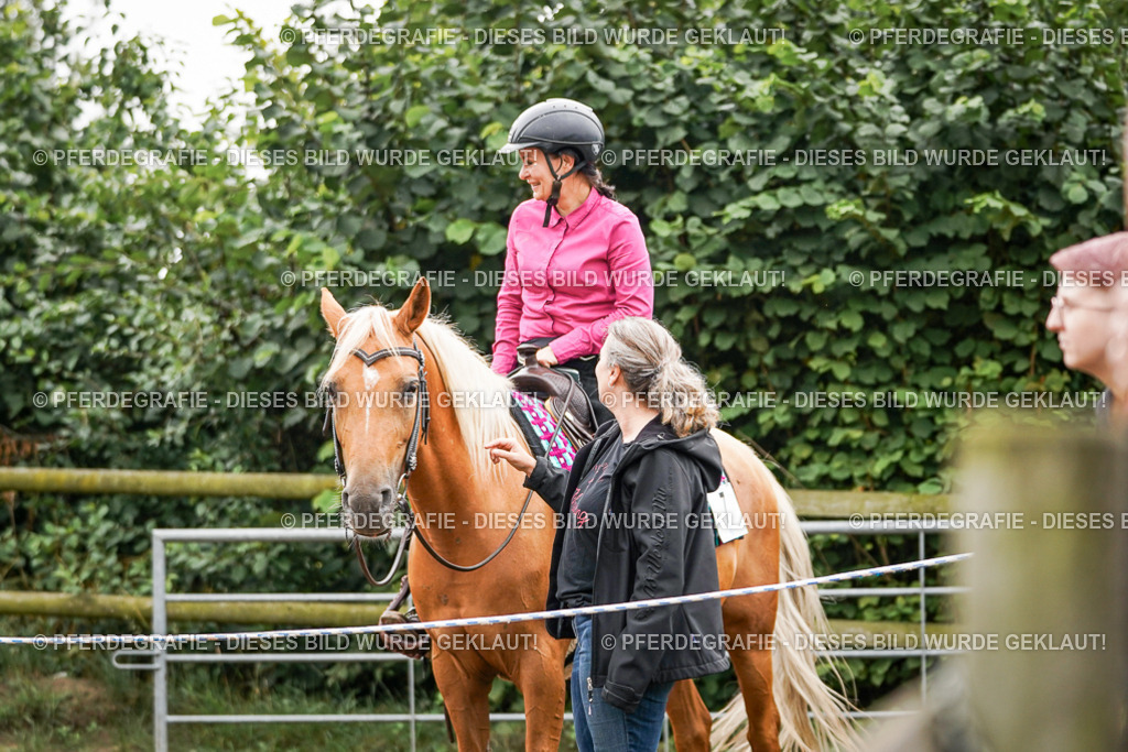 DSC03527 | Pferdegrafie