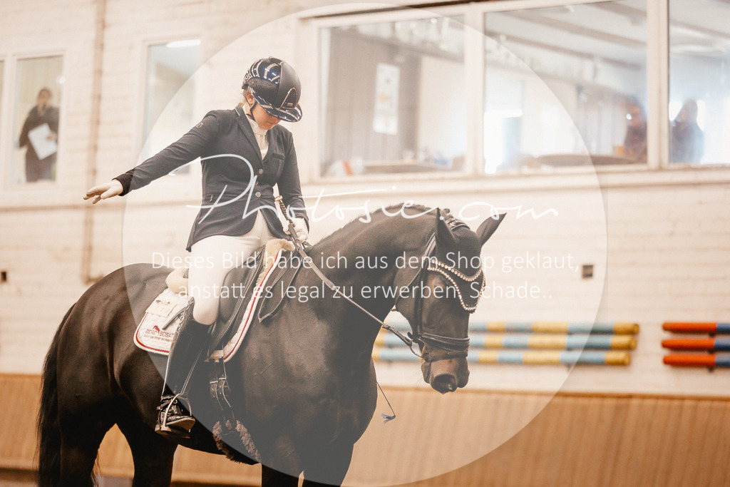 3I6A1975 | Stimmungsvolle Portraits und Reitsportfotografie im Ruhrgebiet und im Münsterland.

Pferdefotografie, Hundefotografie, Tierfotografie, Reportagen, Portraits von Tier und Mensch, Turnierfotografie in Bochum, Recklinghausen, Marl, Haltern am See, Dülmen.. - Realisiert mit Pictrs.com