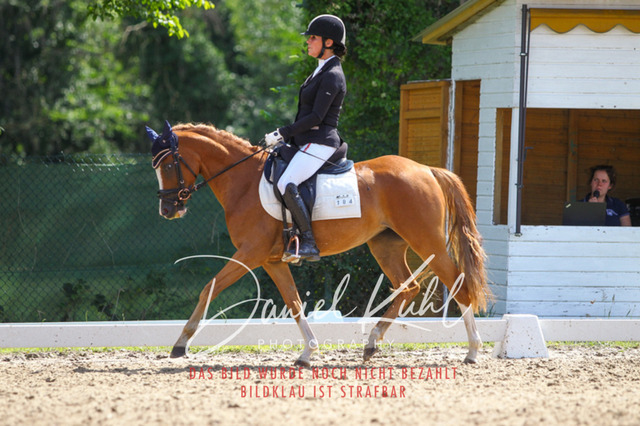 DKP42693 | Turniersportfotografie; Pferdefotografie; Dressurfotografie