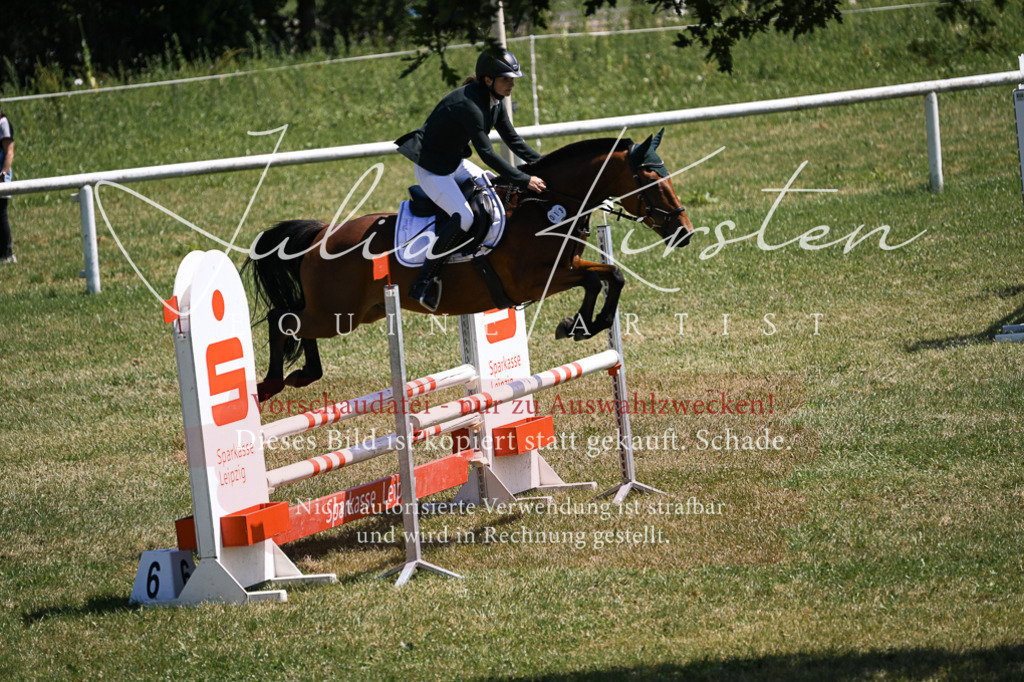 DSC_0016 | Pferde- und Turnierfotografie in Westsachsen. Pferdeportraits, Auftragszeichnungen und intuitive Kunst.