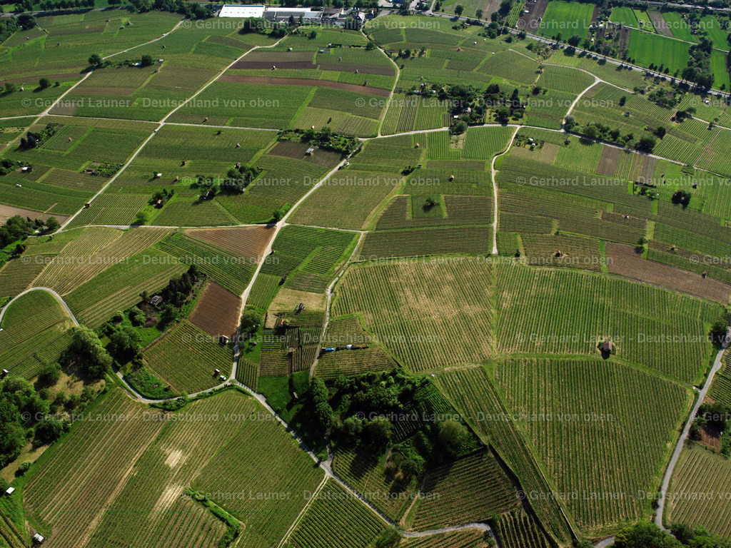 2598024 | Weinberge bei Heppenheim