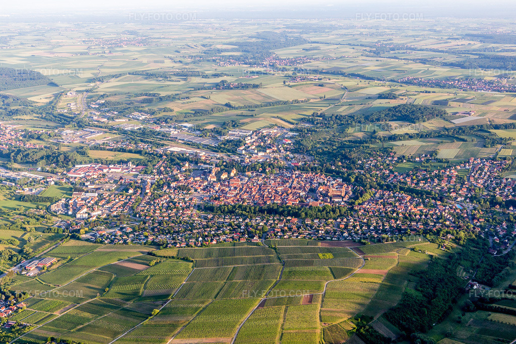 Aerial view: View of the town behind the vineyards of Sonnenberg, showing the streets and houses of the residential areas. in Wissembourg in the state Bas-Rhin, France. – Photo: IMG_080327.jpg taken on 06/05/2015 by Werner Riehm/FLY-FOTO.com – Resolution of the original: 5472 x 3648 px