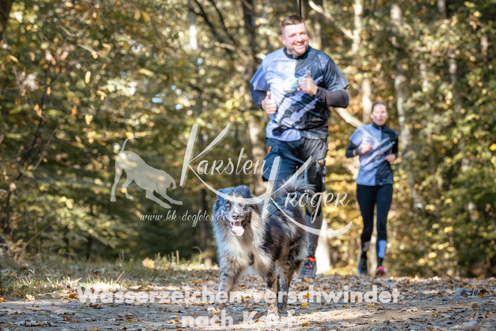 1147_ZZ93439 | kk-dogfotos