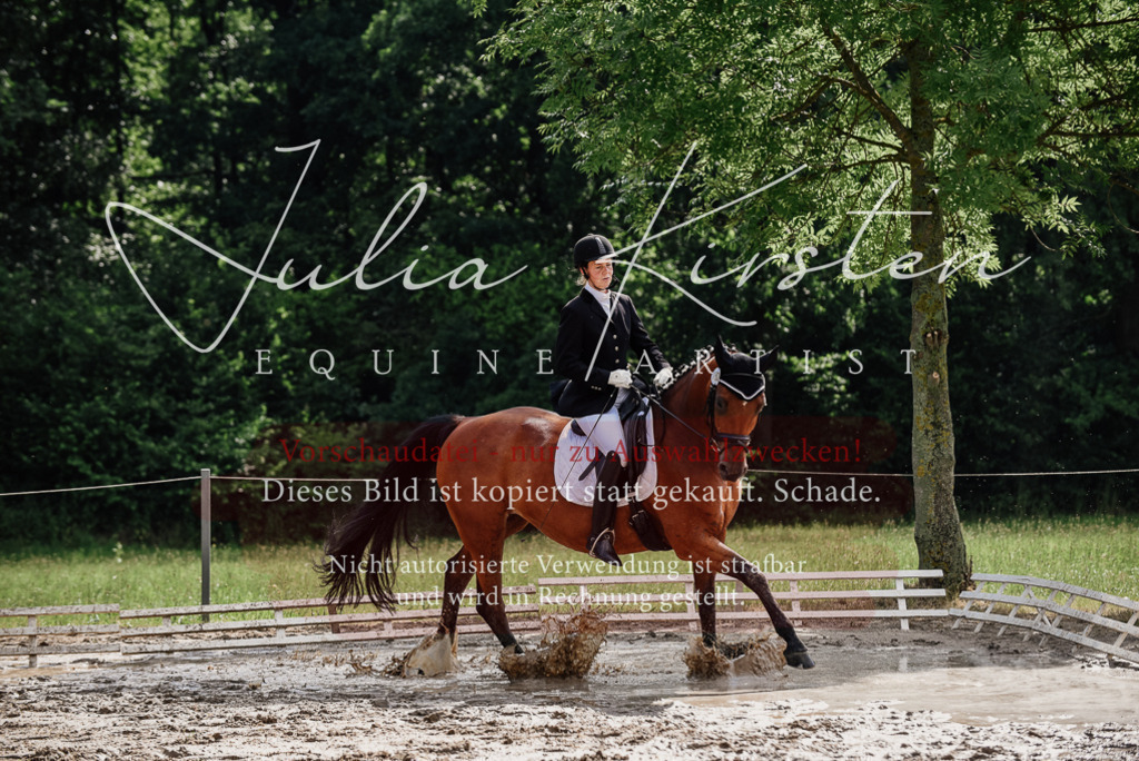 DSC_9797 | Pferde- und Turnierfotografie in Westsachsen. Pferdeportraits, Auftragszeichnungen und intuitive Kunst.