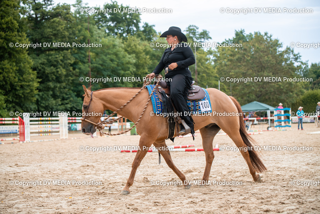 ZS2_8077 | dv-media-shop - Realisiert mit Pictrs.com