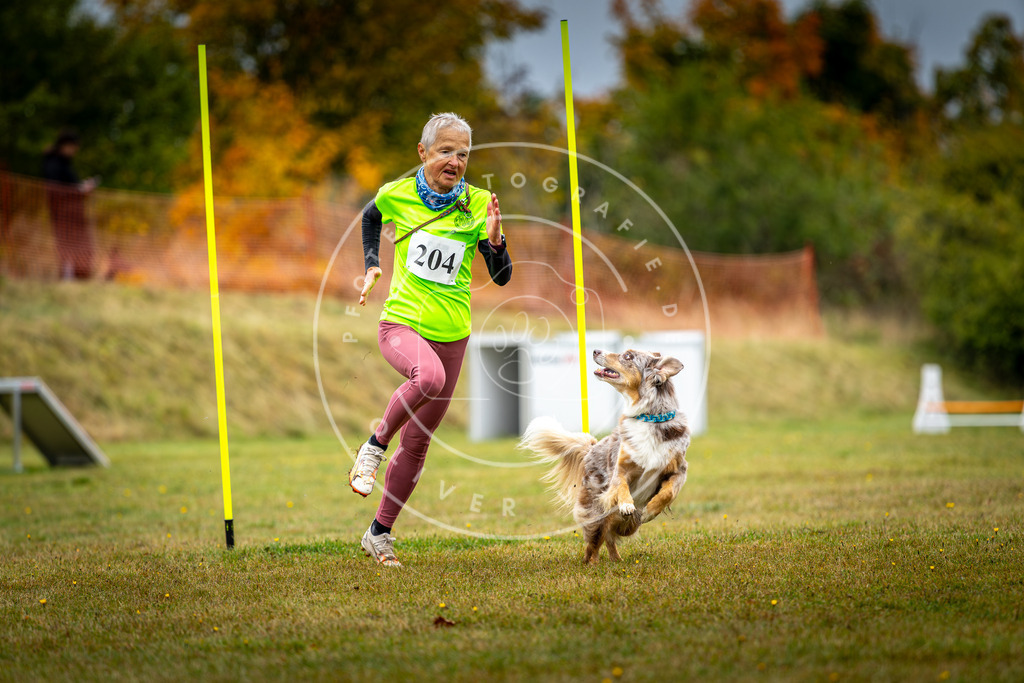 Pfotenfotografie_DV3A2067 | Hundefotografie, Tierfotograf, Pfotenfotografie, Fotoshooting Hund, Hunde Portrait, Hundesport, Hundeportraits, Heideshooting, Hunde, Sportfotograf, Hundefotograf, Turnierhundsport, THS,  - Realisiert mit Pictrs.com