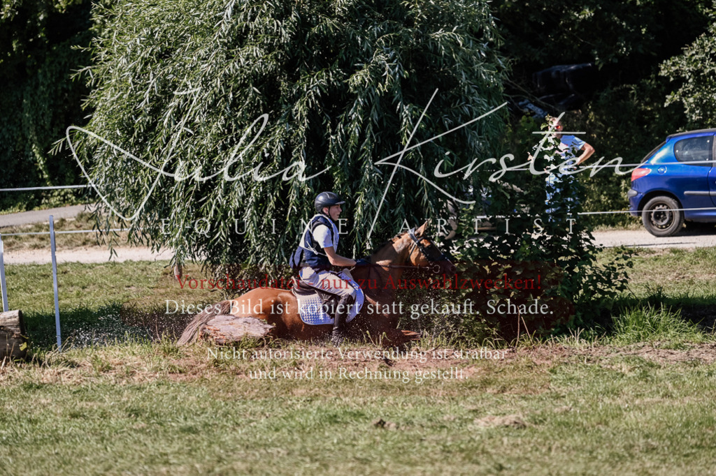 DSC_2092 | Pferde- und Turnierfotografie in Westsachsen. Pferdeportraits, Auftragszeichnungen und intuitive Kunst.