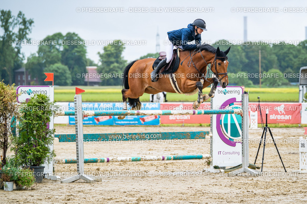 DSC03741 | Pferdegrafie