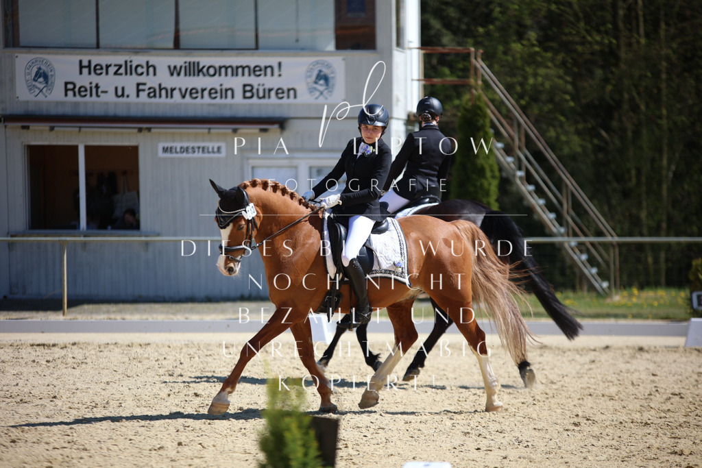 IMGT1629 | pl-fotografie