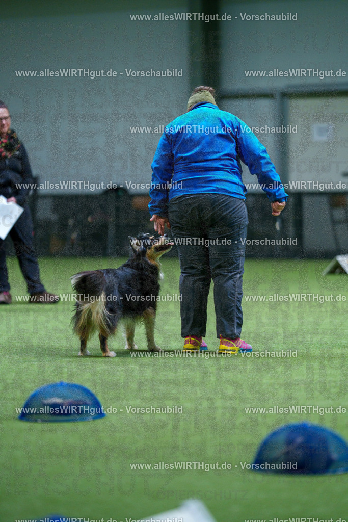 7R506450 | Professionelle Tierfotografie in Mönchengladbach von Daniel Wirth (allesWIRTHgut). Liebevolle & natürliche Bilder von Hunden & Katzen für unvergessliche Erinnerungen.