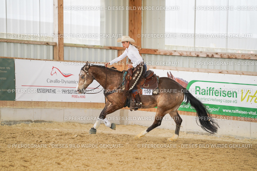 DSC01421 | Pferdegrafie