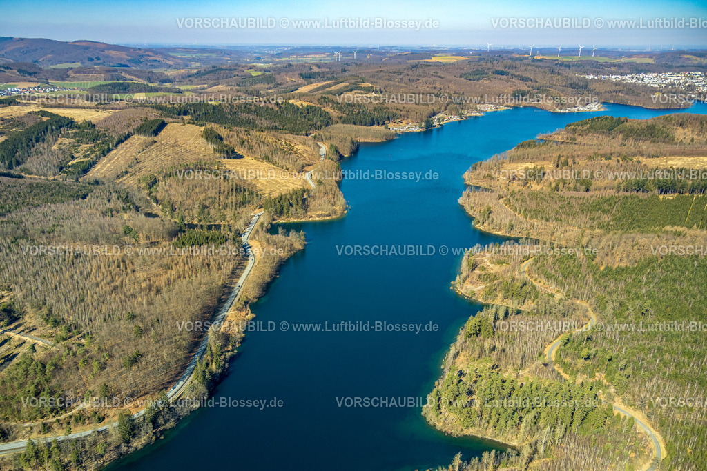 Sundern250304415 | Luftbild, Sorpesee, Waldgebiet mit Waldschäden, Amecke, Sundern, Sauerland, Nordrhein-Westfalen, Deutschland