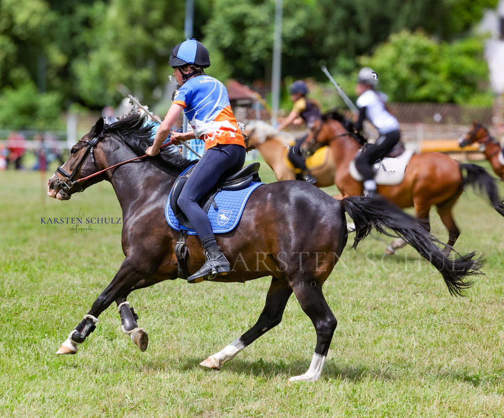 1B3A0567 | Reitsport Reiten