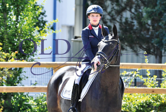 53 Brooklyn DE332143217 HE-Rpf Bon Coeur - Just Perfect_a | <meta name="description" content="★Offizieller Merchandise und Foto-/Videostore des Oldenburger Verbandes.★ ✅Jetzt auch digital Ausdrucke erhältlich." />
<meta name="keywords" content="Merchandise Foto-/Videostore Oldenburger Verband Photographie 