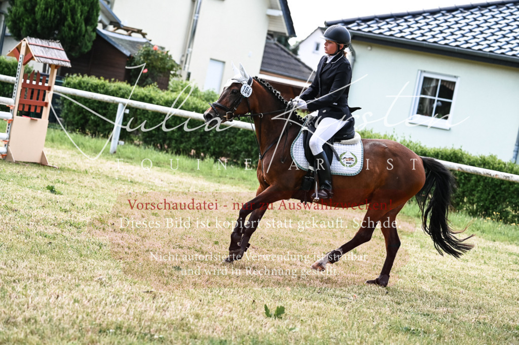 DSC_9783 | Pferde- und Turnierfotografie in Westsachsen. Pferdeportraits, Auftragszeichnungen und intuitive Kunst.