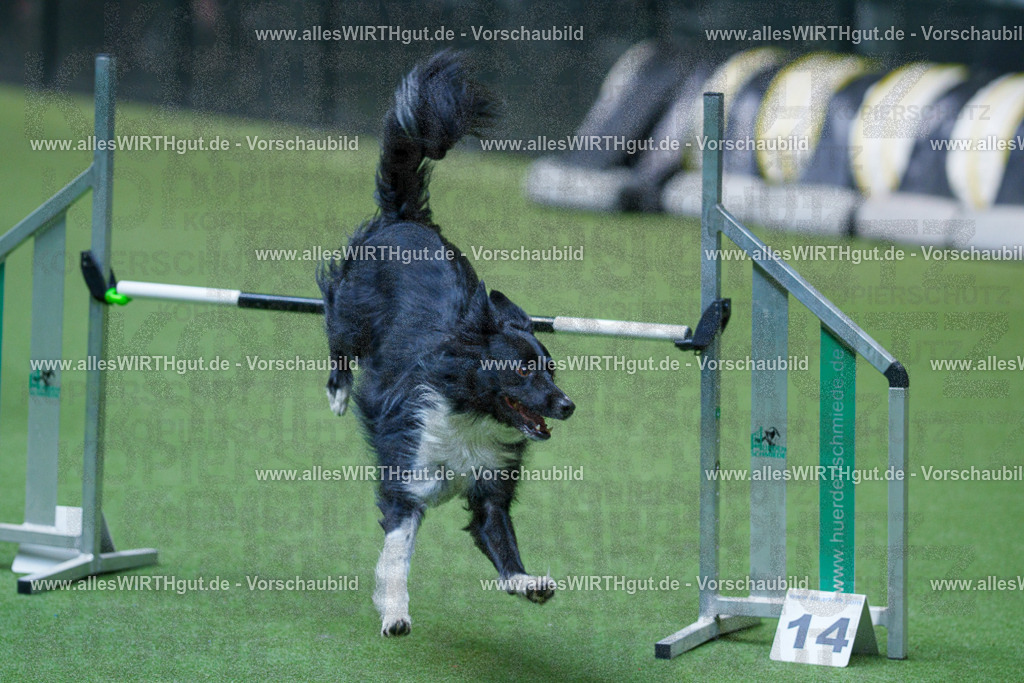 @allesWIRTHgut_Tierfotografie - www.allesWIRTHgut.de - 2604261528-7R505680 | Professionelle Tierfotografie in Mönchengladbach von Daniel Wirth (allesWIRTHgut). Liebevolle & natürliche Bilder von Hunden & Katzen für unvergessliche Erinnerungen.