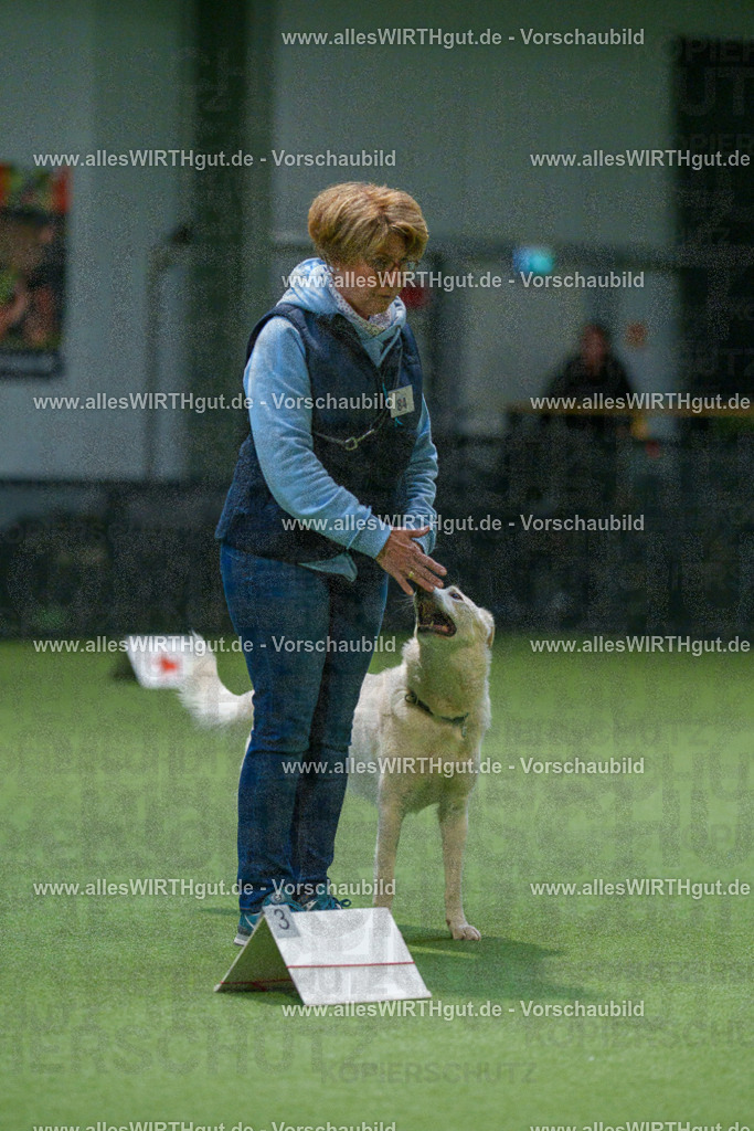 7R507872 | Professionelle Tierfotografie in Mönchengladbach von Daniel Wirth (allesWIRTHgut). Liebevolle & natürliche Bilder von Hunden & Katzen für unvergessliche Erinnerungen.