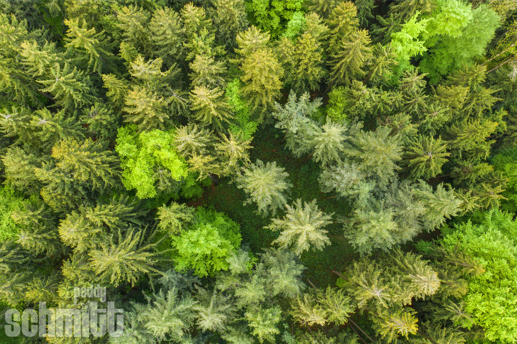 PS-Aerials-2026-44 | Entdecke die größte Bildgalerie der Region mit Fotografien aus dem Allgäu, der Bodenseeregion, Oberschwaben, dem Donautal und der Schwäbischen Alb. Landschaften, Luftaufnahmen und Reisefotografie als Wandbild und Fotokunst. - Realisiert mit Pictrs.com