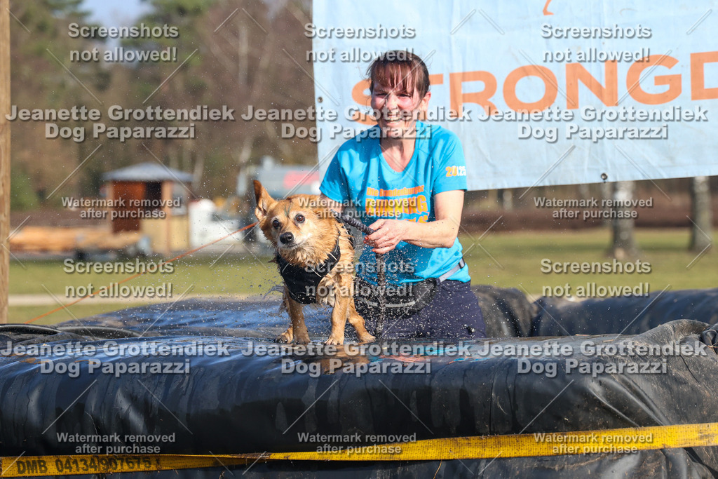 Dog Paparazzi - Strongdog North Mrz26-3245 | Dog Paparazzi Jeanette Grottendiek Fotografie & Videografie - Realisiert mit Pictrs.com