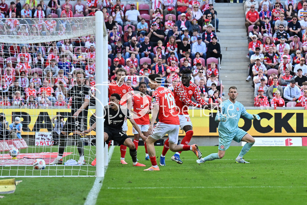 1. FSV Mainz 05 - FC Bayern München | MAINZ, GERMANY - 25. APRIL: Jubel der Bayern nach dem Treffer zum 3-3 Ausgleich durch Jamal MUSIALA (FC Bayern Munich 10) / Tor / Torschuetze / Freude / Happy während dem Bundesligamatch zwischen dem 1. FSV Mainz 05 und dem FC Bayern München am 31. Spieltag in der MEWA Arena / DFL REGULATIONS PROHIBIT ANY USE OF PHOTOGRAPHS AS IMAGE SEQUENCES AND/OR QUASI-VIDEO