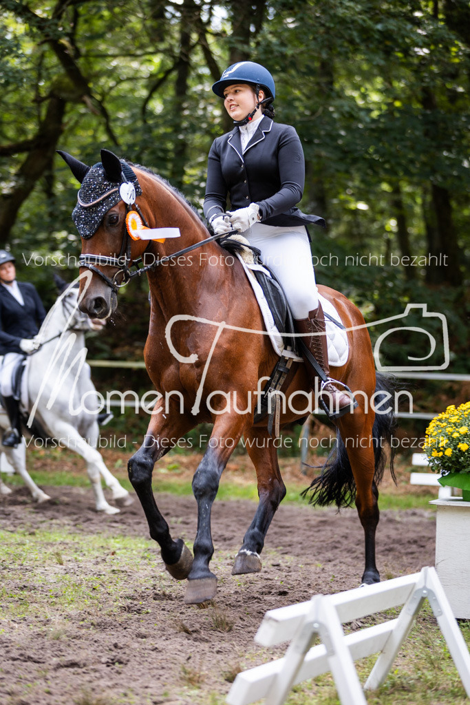 HB-Dressur-WB-127 | MomenTaufnahmen Pferdesportfotos