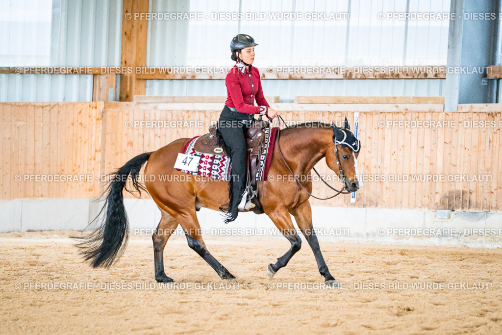 DSC02479 | Pferdegrafie