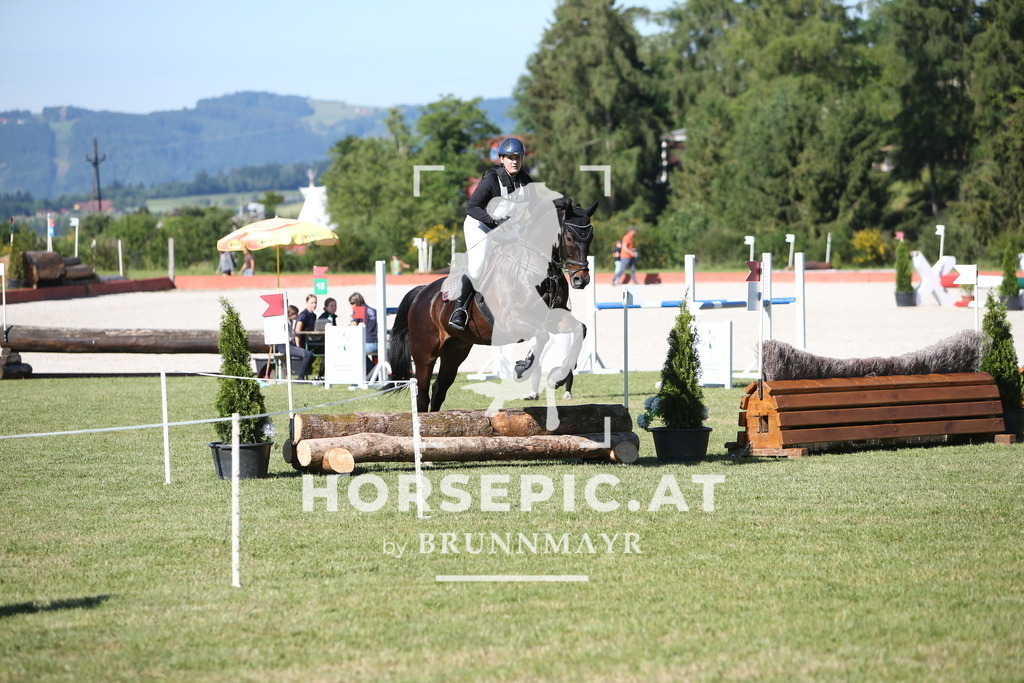 PP013092 | Willkommen bei Brunnmayr - Design & Fotografie – Ihrem Spezialisten für Reitturniere und Pferdeveranstaltungen in Oberösterreich, Salzburg und Bayern! Seit über 17 Jahren sind wir leidenschaftlich dabei.