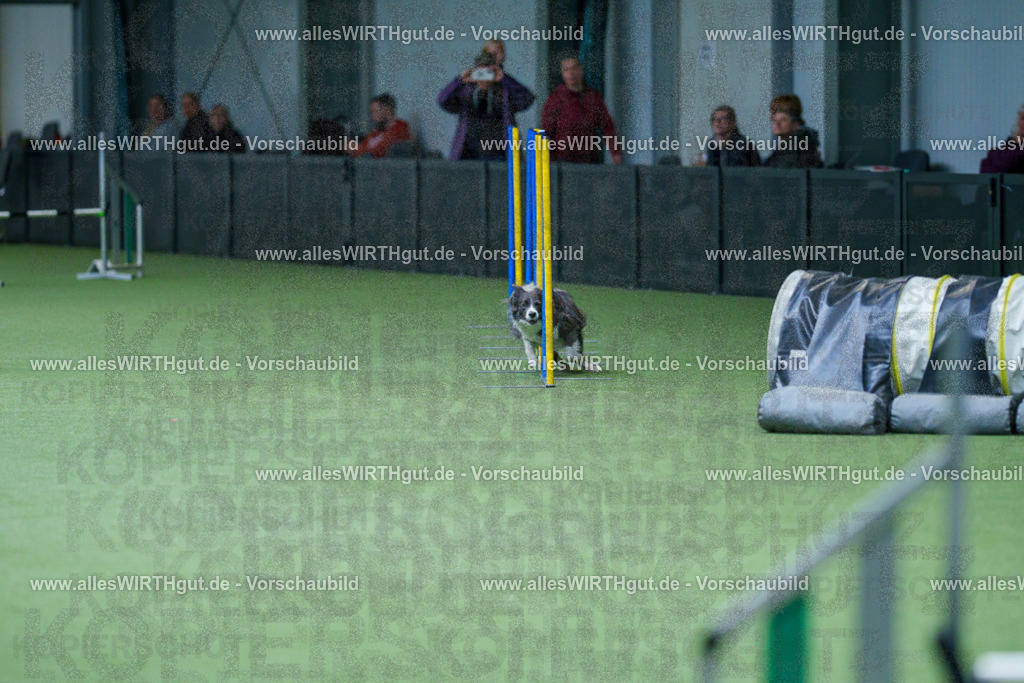 @allesWIRTHgut_Tierfotografie - www.allesWIRTHgut.de - 2604251109-7R501342 | Professionelle Tierfotografie in Mönchengladbach von Daniel Wirth (allesWIRTHgut). Liebevolle & natürliche Bilder von Hunden & Katzen für unvergessliche Erinnerungen.