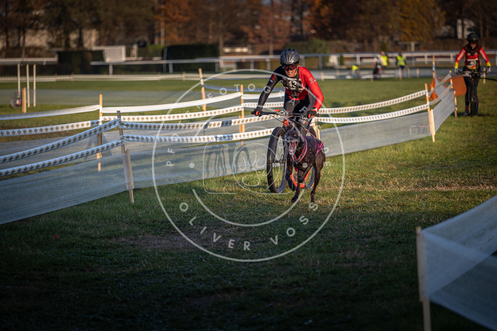 CaniXpix_0L8A2368 | Hundefotografie, Tierfotograf, Pfotenfotografie, Fotoshooting Hund, Hunde Portrait, Hundesport, Hundeportraits, Heideshooting, Hunde, Sportfotograf, Hundefotograf, Turnierhundsport, THS,  - Realisiert mit Pictrs.com