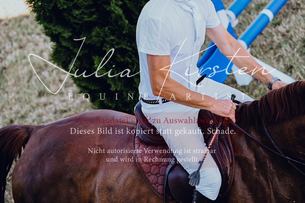 DSC_2278 | Pferde- und Turnierfotografie in Westsachsen. Pferdeportraits, Auftragszeichnungen und intuitive Kunst.