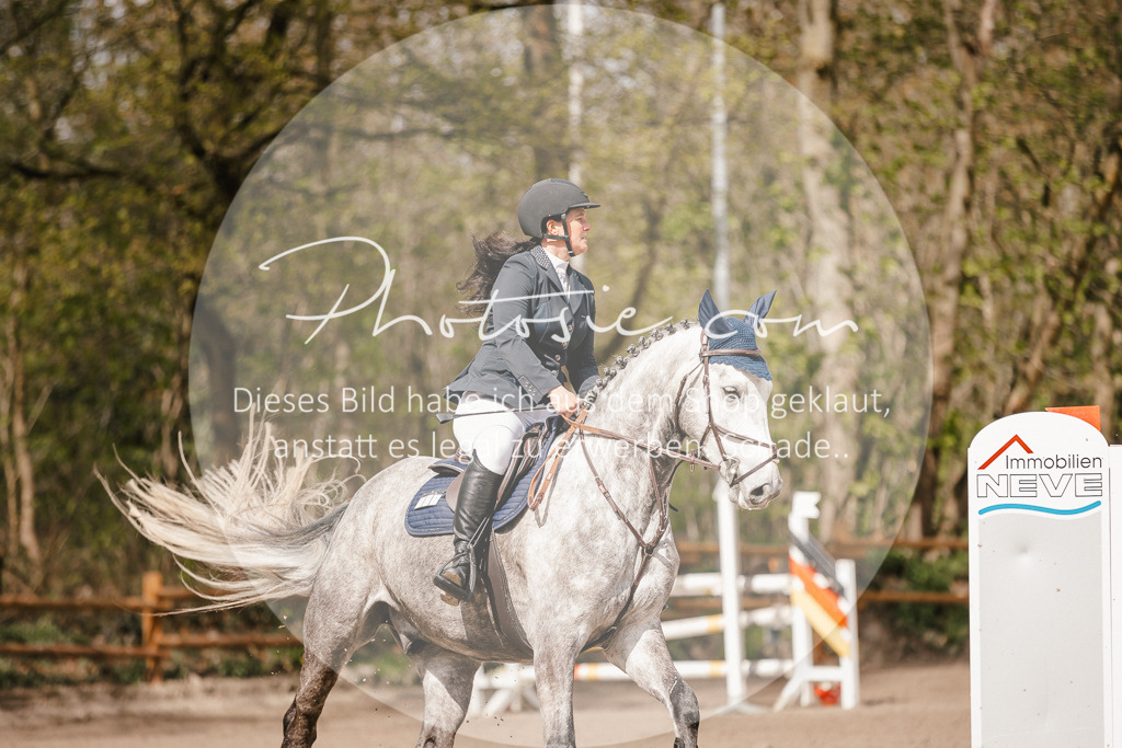 3I6A4230 | Stimmungsvolle Portraits und Reitsportfotografie im Ruhrgebiet und im Münsterland.

Pferdefotografie, Hundefotografie, Tierfotografie, Reportagen, Portraits von Tier und Mensch, Turnierfotografie in Bochum, Recklinghausen, Marl, Haltern am See, Dülmen.. - Realisiert mit Pictrs.com