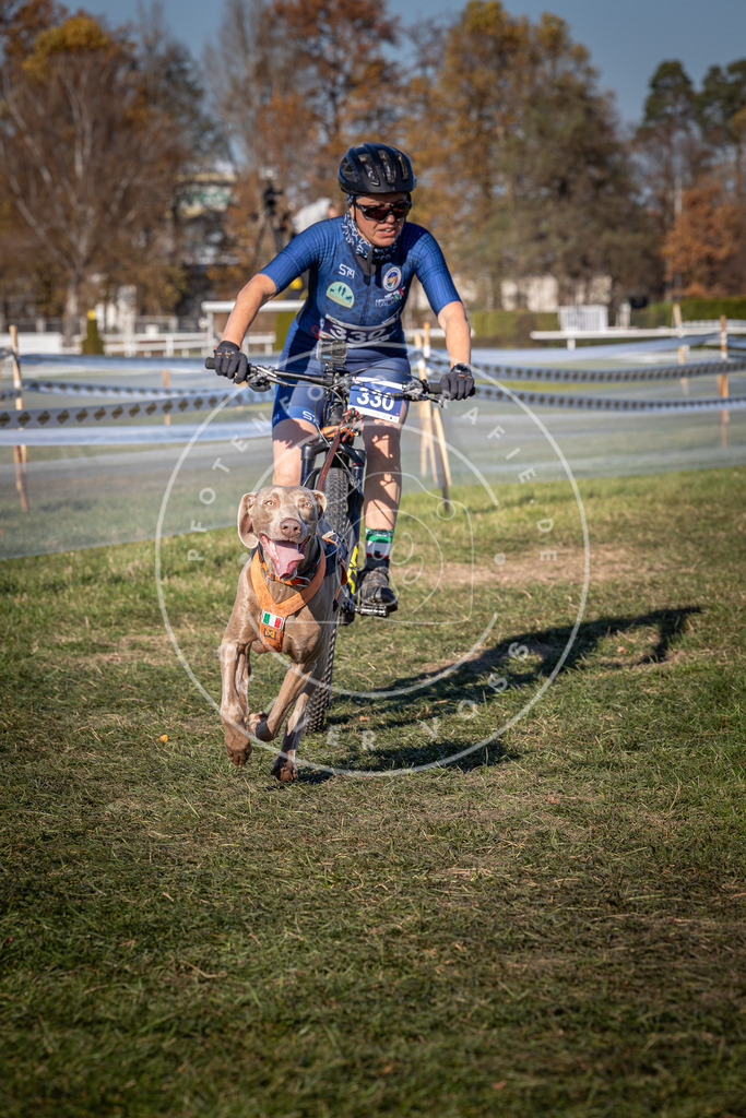 CaniXpix_0L8A5833 | Hundefotografie, Tierfotograf, Pfotenfotografie, Fotoshooting Hund, Hunde Portrait, Hundesport, Hundeportraits, Heideshooting, Hunde, Sportfotograf, Hundefotograf, Turnierhundsport, THS,  - Realisiert mit Pictrs.com