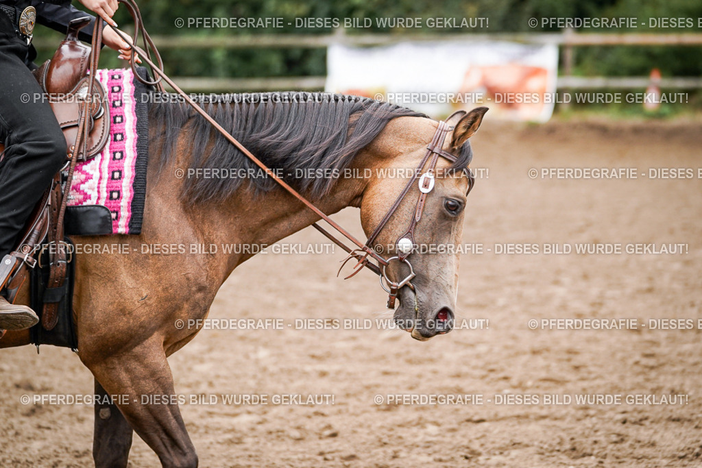 DSC02525 | Pferdegrafie