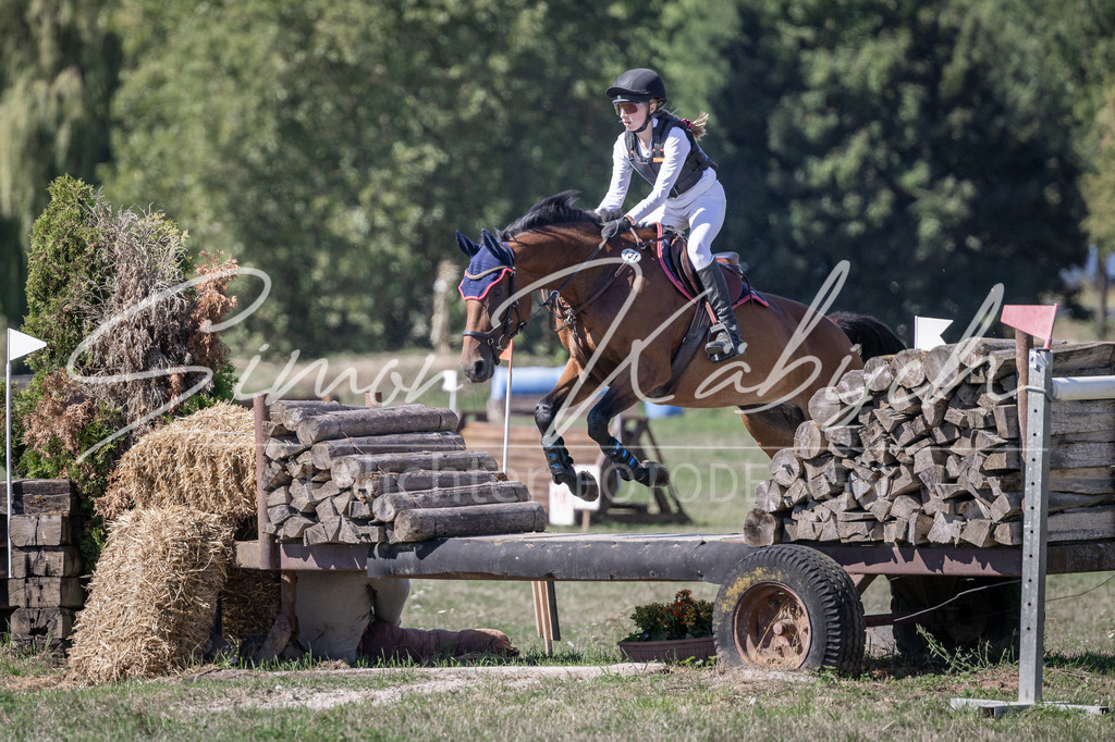 20260906-_3LI3247 | Tierfotografie Pferde, Hunde, Katzen, Haustiere.
Turnierfotografie Reitturniere, Reiten, Springreiten, Dressur in Hanau, dem Main-Kinzig-Kreis und dem Rhein-Main- Gebiet um Frankfurt