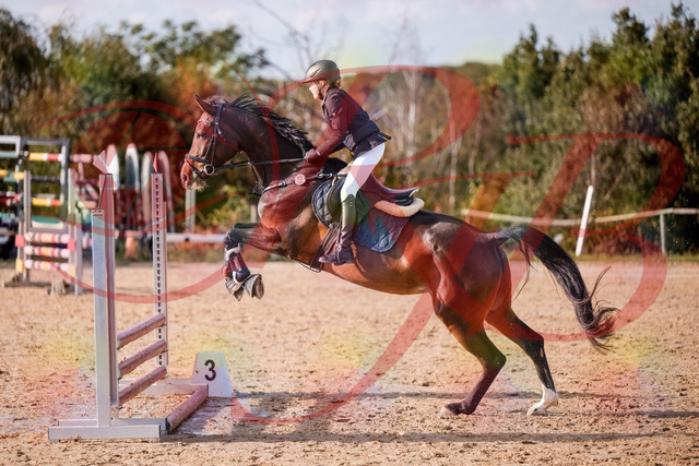 2026_10_03_Siefer-Hof_155937_Z81_79762042 | Professionelle Reitsport-, Turnier- und Eventfotografie von Robert Broda. Galerien mit ausgewählten und bearbeiteten Bildern direkt online ansehen und bestellen.