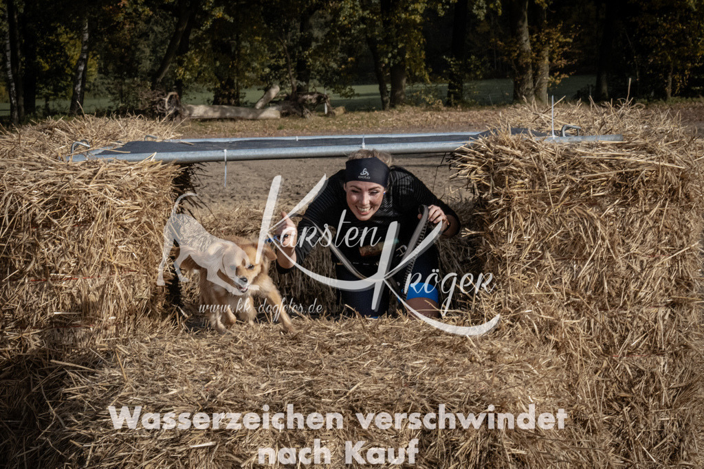 1208_ZZ93580 | kk-dogfotos