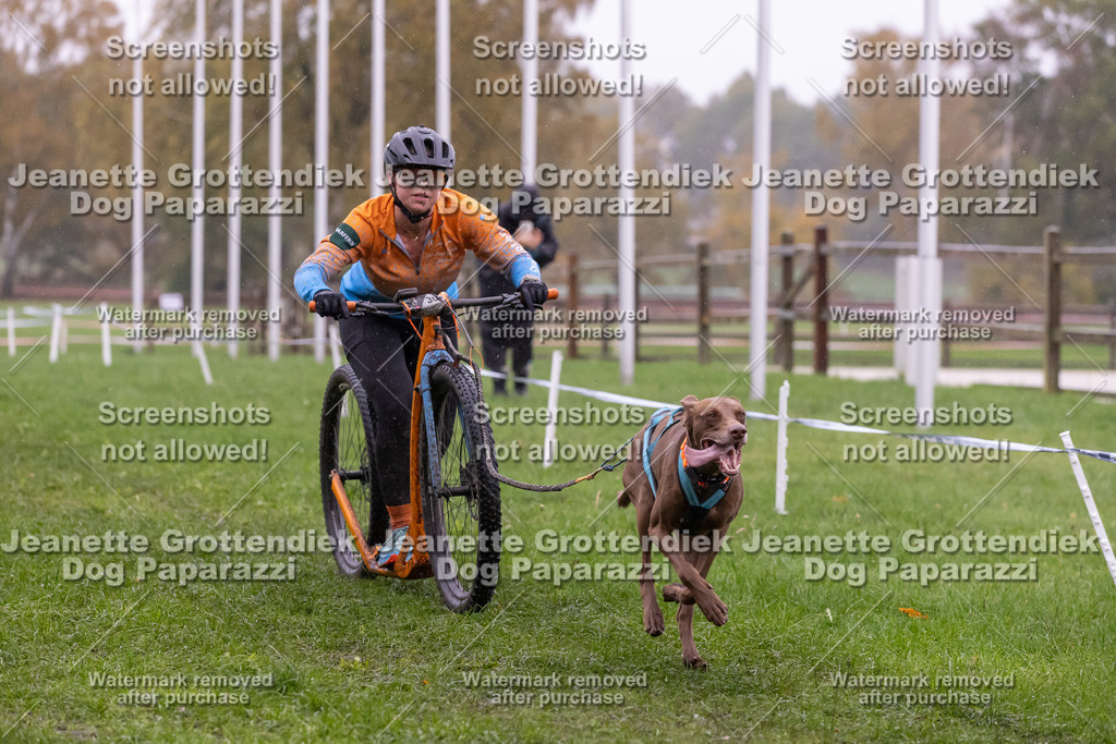 Dog Paparazzi - SD CaniX Championship 2025-893 | Dog Paparazzi Jeanette Grottendiek Fotografie & Videografie - Realisiert mit Pictrs.com