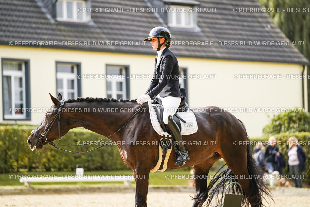 DSC00927 | Pferdegrafie