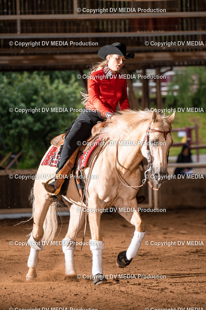 Erbach Tag 2-1041 | dv-media-shop - Realisiert mit Pictrs.com