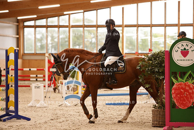 1J2A8059Katja Krumstroh_ Centauer 3_ Kn107_ Glantz_ Hohen Wieschendorf | Foto- und Videografie für alles rund ums Pferd. Hochwertige Bilder und Videos vom Spring- und Dressurreiten, Voltigieren & mehr. Jetzt aktuelle Veranstaltungen und Preise im Shop ansehen. - Realisiert mit Pictrs.com