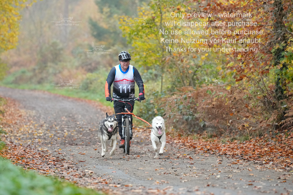 ScooterRigs2dogs_So-25 | stephaniefillaphotographie - Realisiert mit Pictrs.com