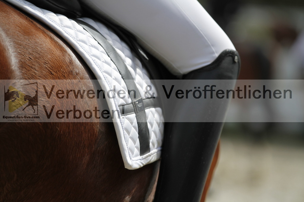 _MG_1305 | equestrian-live-com