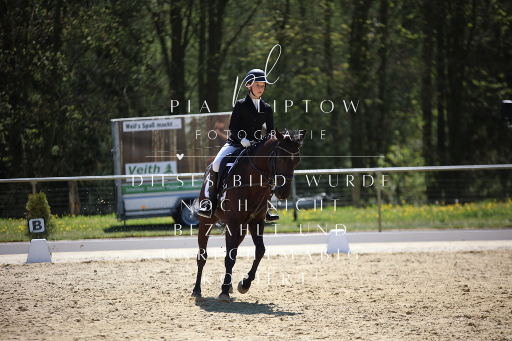 IMGT0439 | pl-fotografie