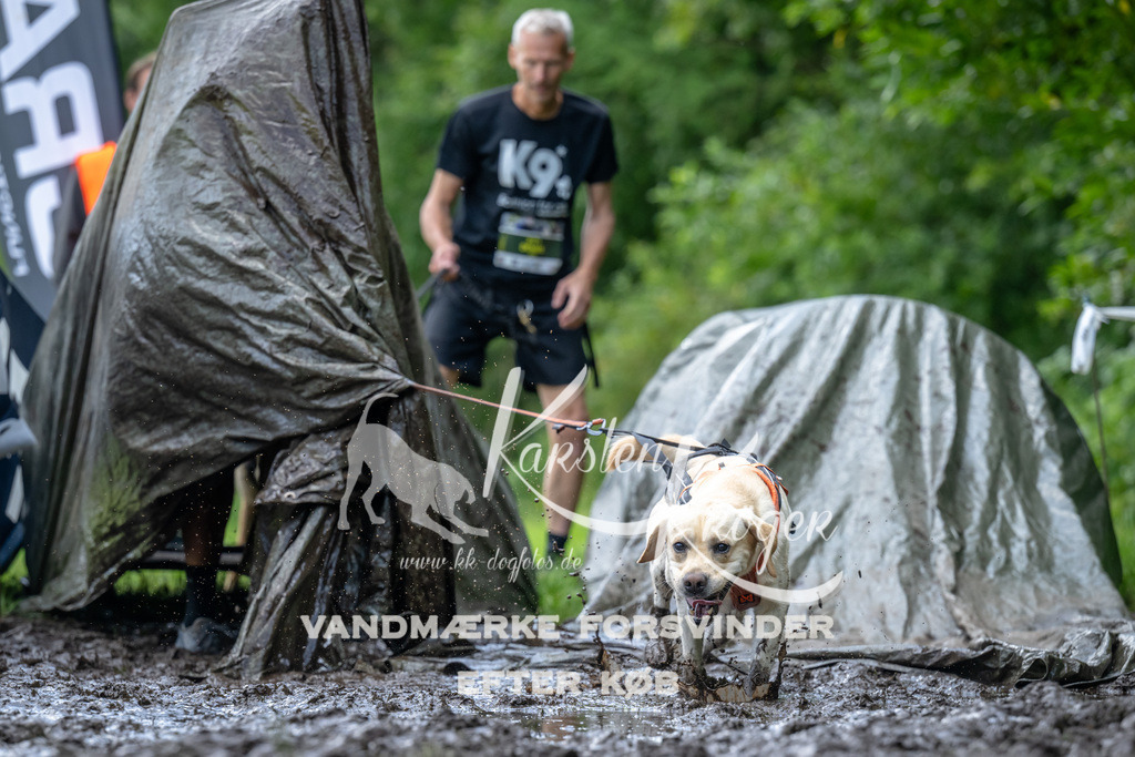 1138_ZZ93796 | kk-dogfotos