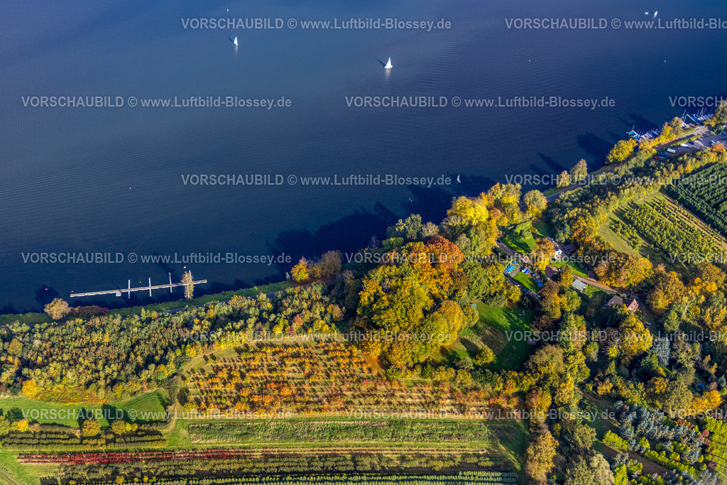 Essen251002596Sued | Luftbild, Segel Club Baldeneysee e. V., herbstliche Bäume am Ufer Baldeneysee mit Segelbooten, Hardenbergufer, Fischlaken, Essen, Ruhrgebiet, Nordrhein-Westfalen, Deutschland