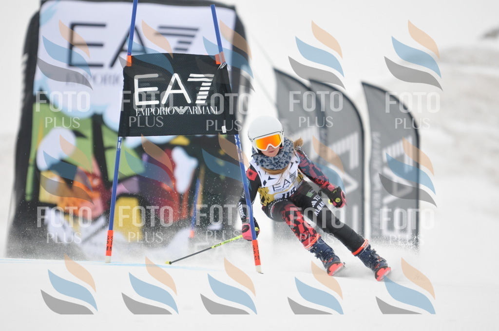 DSC_8189 | holidayphoto