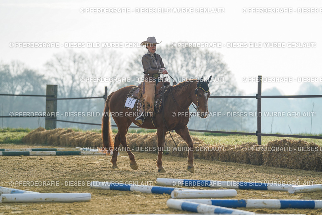 DSC09766 | Pferdegrafie