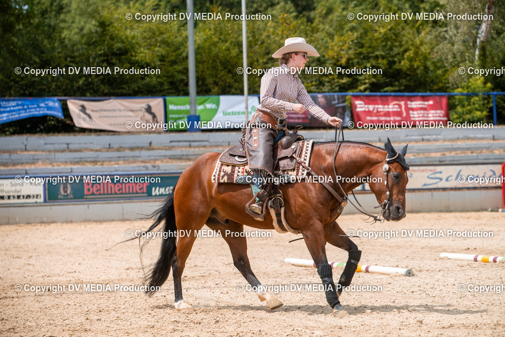 EWP_6336 | dv-media-shop - Realisiert mit Pictrs.com