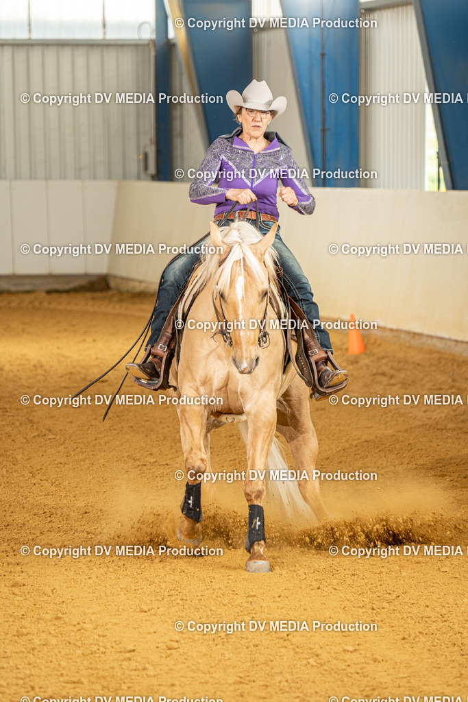 MIT01388 | dv-media-shop - Realisiert mit Pictrs.com